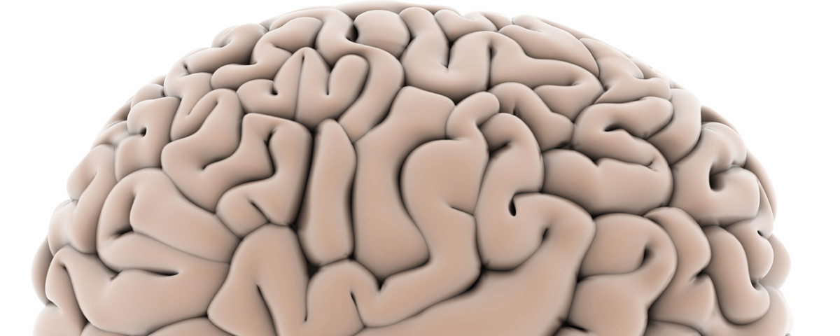 Detailed rendering of the human brain — Health News Bugle neuroscience coverage